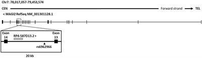 MAGI2 Gene Region and Celiac Disease